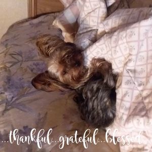 Meet your Posher, Jackie